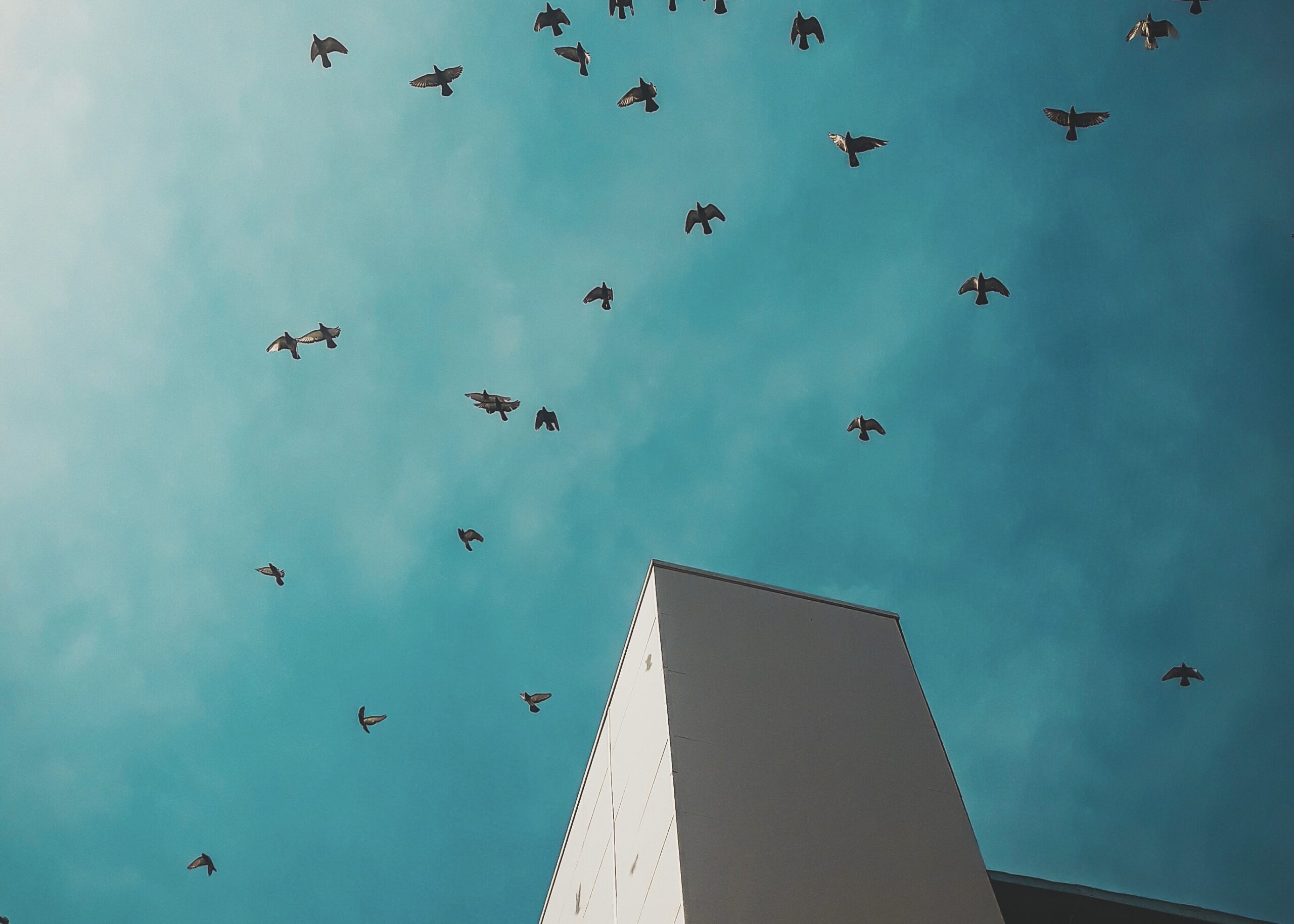 5E61170E-9C12-4F78-96E6-C5B733AF4544_1_201_a