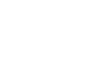 logo541-blanc_Plan de travail 1