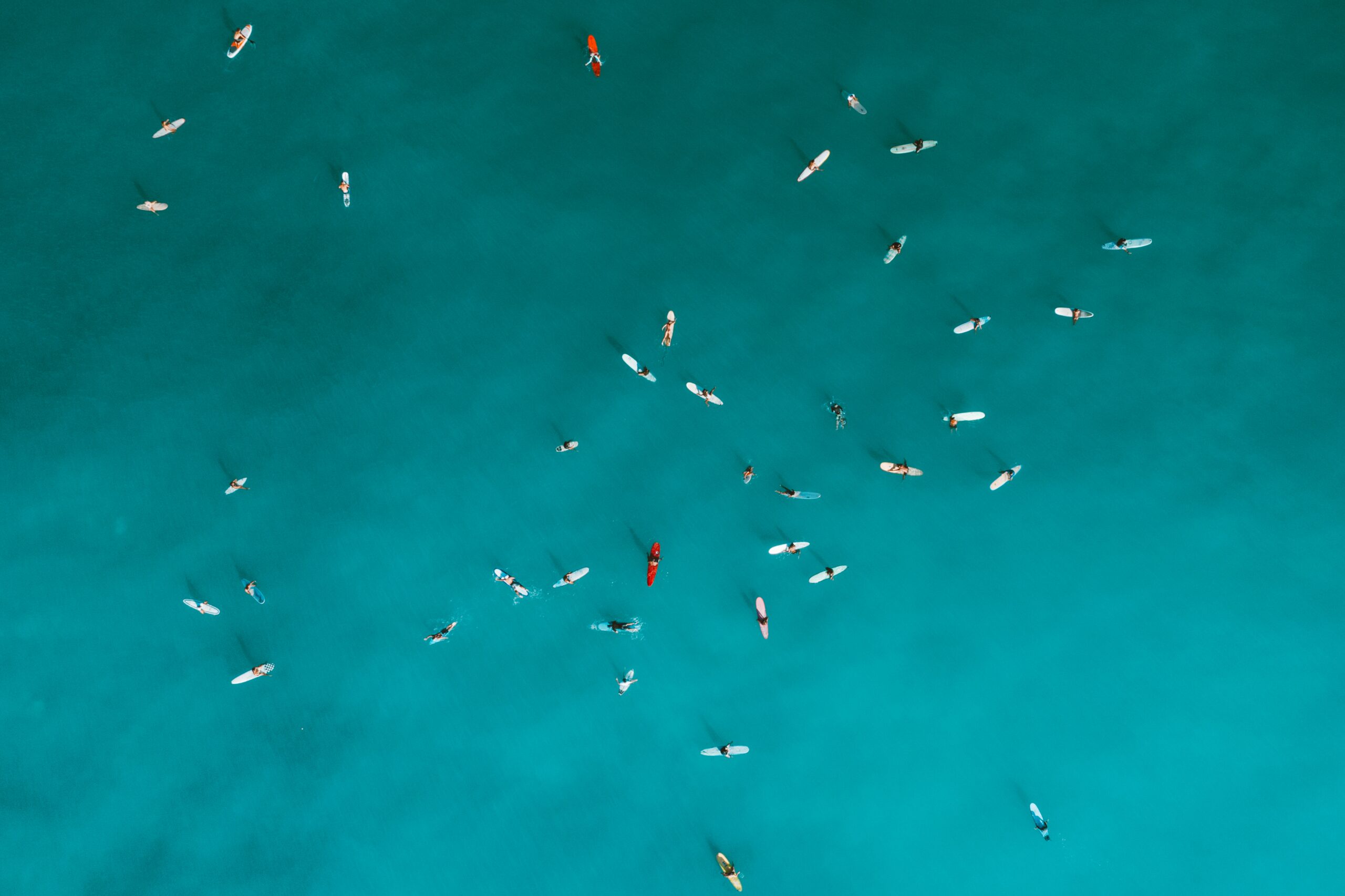 pexels-jess-loiterton-4784186